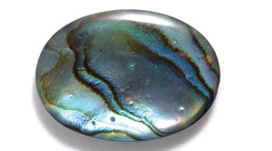 38AB558-CR: Oval Abalone Cabochon Natural 13x18mm 1PC