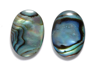 36AB558-C: Abalone Cabochon Natural 10x14mm