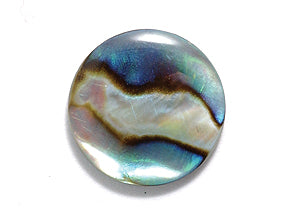 14AB558-C: Abalone Cabochon Natural 14mm