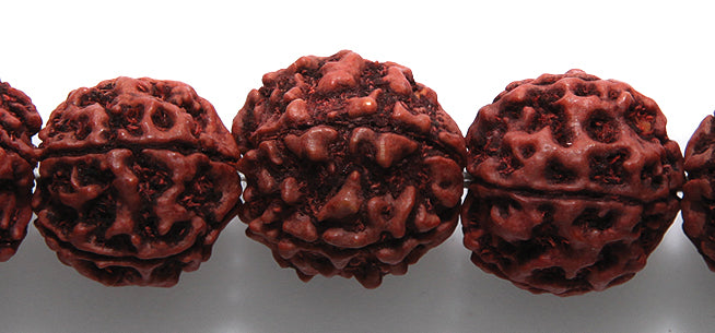 16WO157-R: Rudraksha Seed Red/brown 16mm 100PST