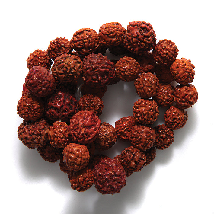 VE524-RA: Bead Mix Rudraksha 24Inch St