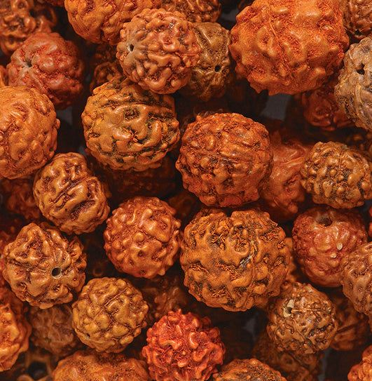 VE525-RAR: India All Mixed Up Rudraksha Mix-100GM