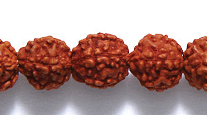 7WO157: Rudraksha Red/brown 7mm 100 Piece Per Strand - String