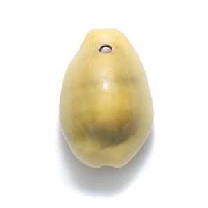 SH110-6T: Cowry Shell Yellow 15-21mm 1-hole 50GM