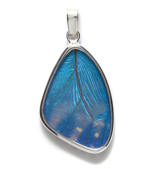 SW026: Shimmerwing Blue Wing Sterling 21x36mm