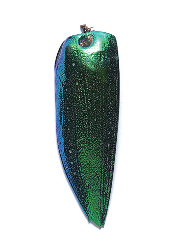 SW888: Emerald Beetle Wing