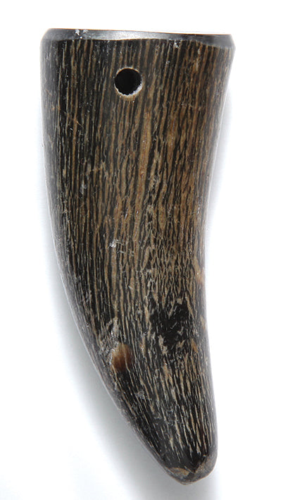 HR120-1N: HR120-1N Buffalo Horn Natural Tip 2inch Base Hole 3PC