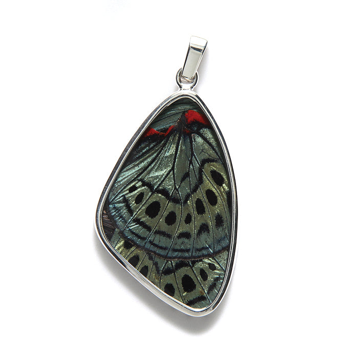 SW027: Shimmerwing Sage Wing Sterling 25x36mm