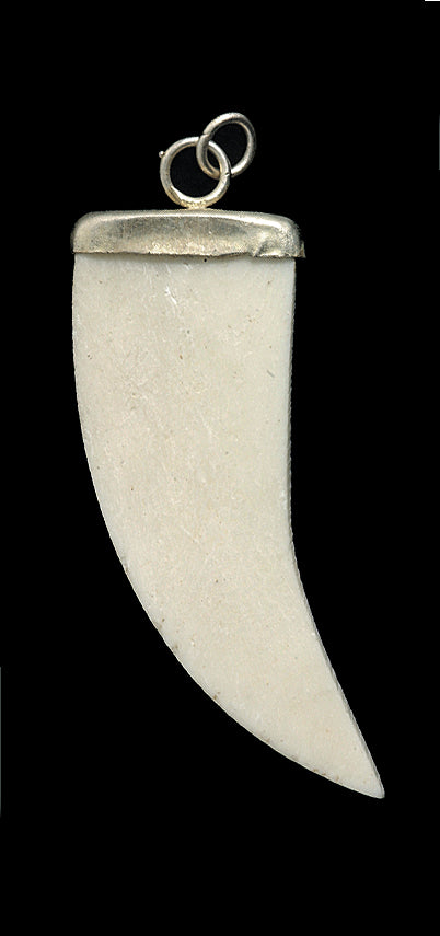 BN295: BN295 Bone Claw Shape 19x45mm 1PC