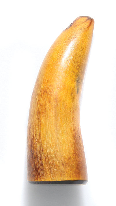 HR120: HR120 Buffalo Horn Burnt Tip 2IN Tip Hole 2PC