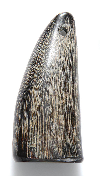 HR120-N: HR120-N Buffalo Horn Natural Tip 2IN Tip Hole 2PC