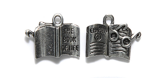 PW6482-S: Charm Book W/Glasses 16x20mm Silver-1PC