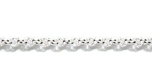 34CX5812: Chain 1.6mm Spiral Rope Silver 1FT