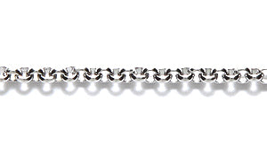 SX145: Chain Stainless Steel 2mm Rolo LNK 1FT