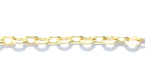 CX4422-G100: Chain GLD PLT 2x3mm 100F