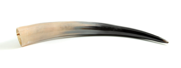 HR100-20: Water Buffalo Horn 20IN Average - 1PC