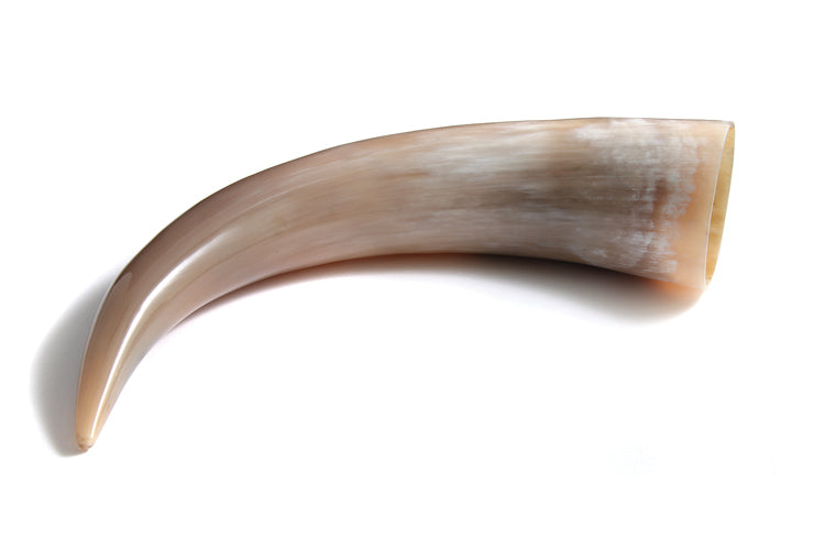 HR100-17T: Buffalo Horn 17IN Average 1PC