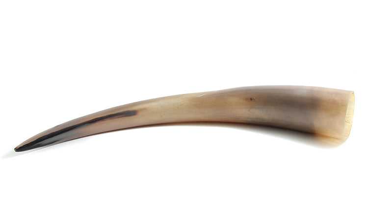 HR100-25: Water Buffalo Horn 23-27IN - 1EA