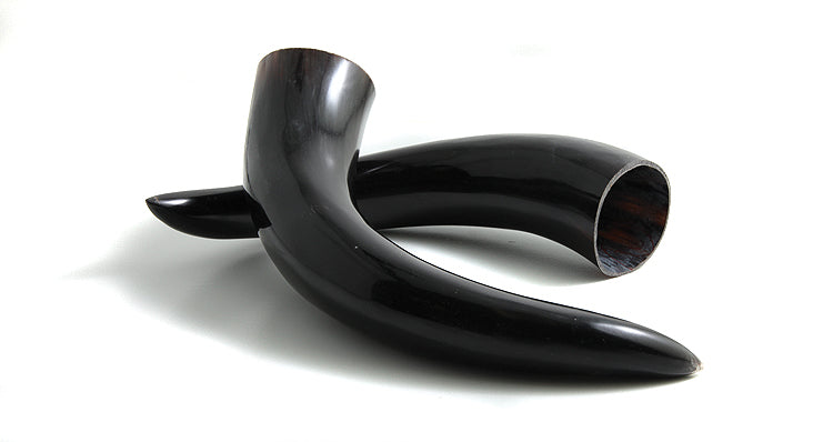 HR100-13P: Water Buffalo Horn 12IN- 1PR