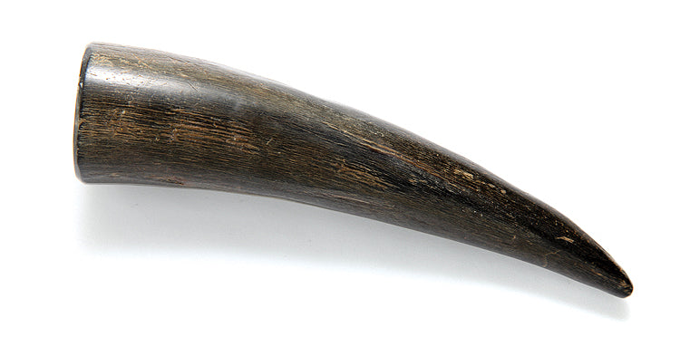 HR103-N: Water Buffalo Horn Tip Natural 4.5-5IN - 1PC