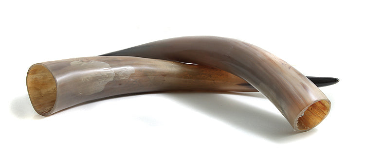 HR100-20P: Water Buffalo Horn 20IN - 1PR