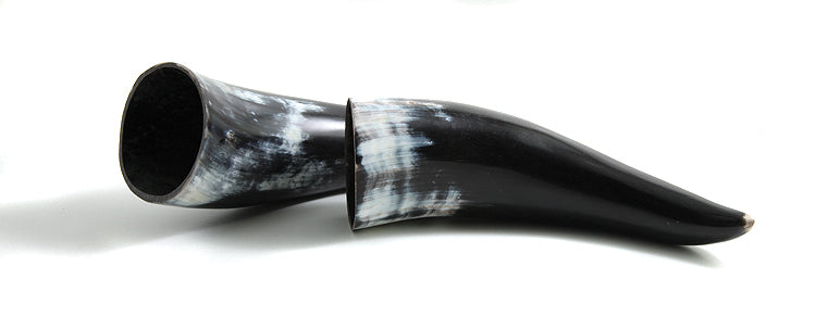 HR100-P: Water Buffalo Horn 7-9IN Average Pairs - 1 Pair