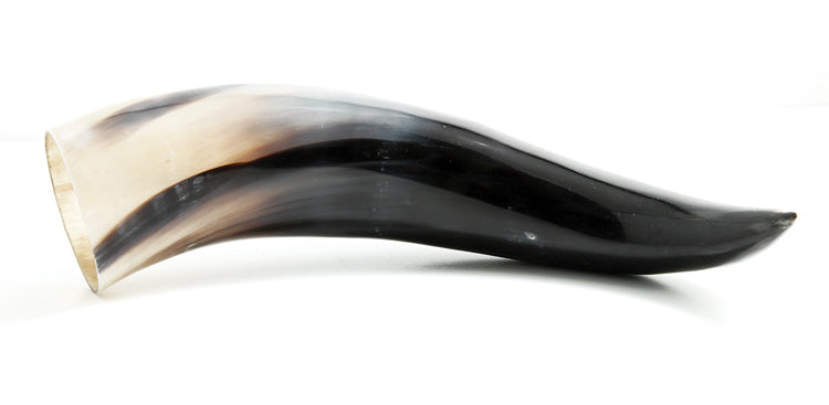 HR100-13: Water Buffalo Horn 12IN Average - 1PC