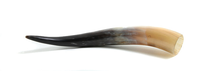 HR100-17: Water Buffalo Horn 17IN Average - 1PC