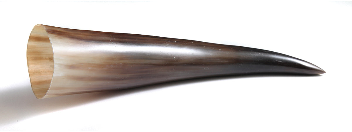 HR100-10: Water Buffalo Horn 10IN Average - 1PC