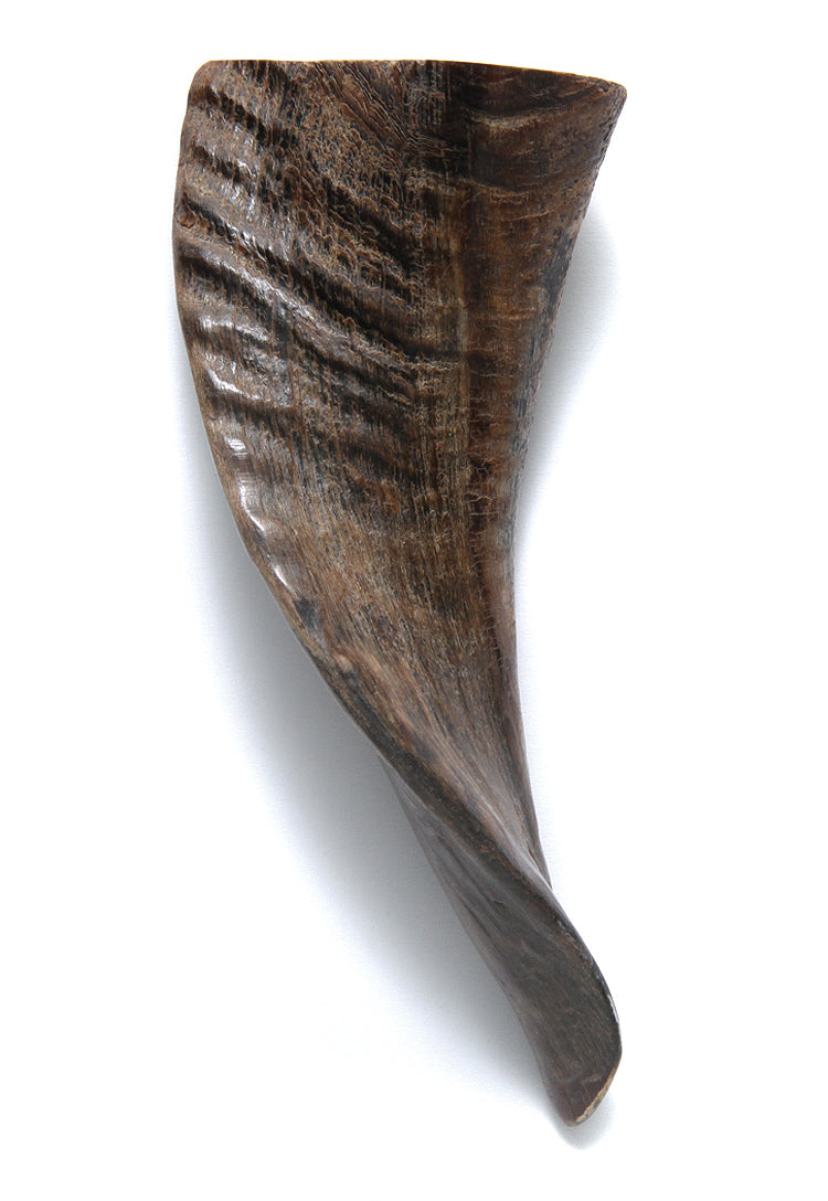 HR110: Goat Horn 5-10" 1PC