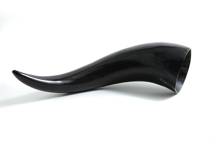 HR100-20A: Water Buffalo Horn 20IN/4.5IN Base - 1PC