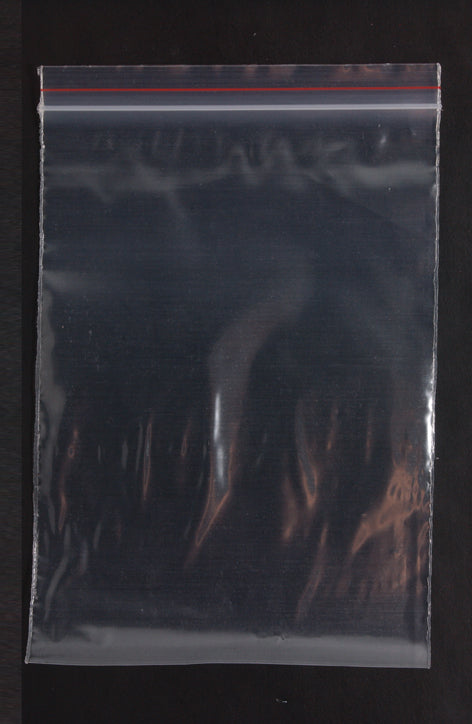 FI750-46: Plastic Bags Zip-close 4x6IN-100PC