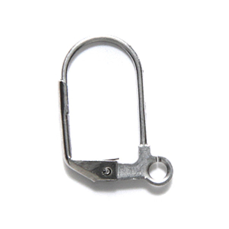 FI43-SNR: Earring Lever Back Stainless Steel-4PR