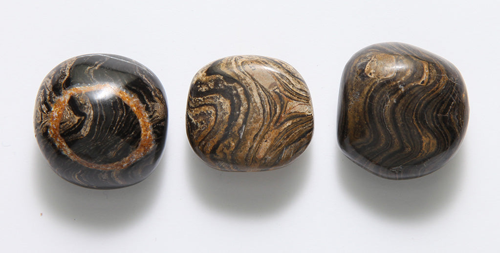 ST661-PLSH: Stromatolite Polished Stone 20-25mm - 1 Each