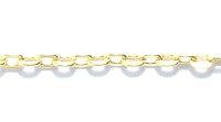 CX4422-G10R: Chain GLD PLT 2x3mm 10FT