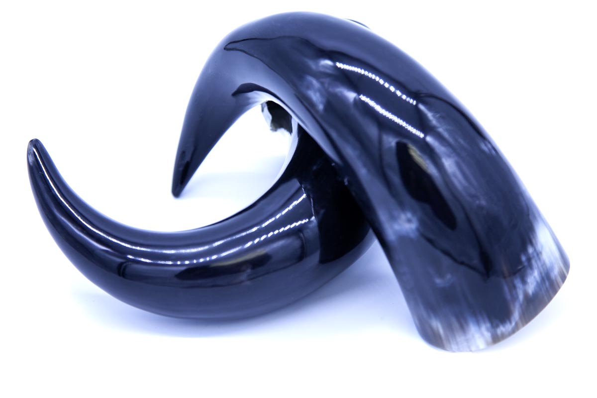 HR100-10P: Water Buffalo Horn 10IN Average Pair