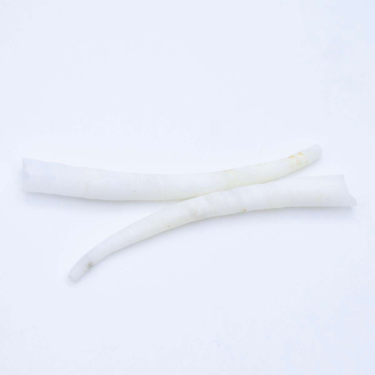 40DT112-250: Shell Dentalium 1.5-2 inch 250 Grams