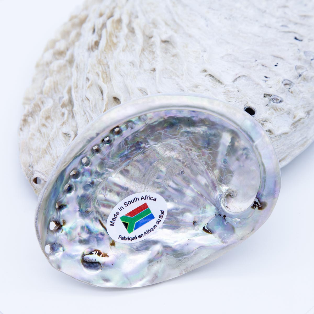 AB995-4: Abalone Shell Dish 4-5 Inches