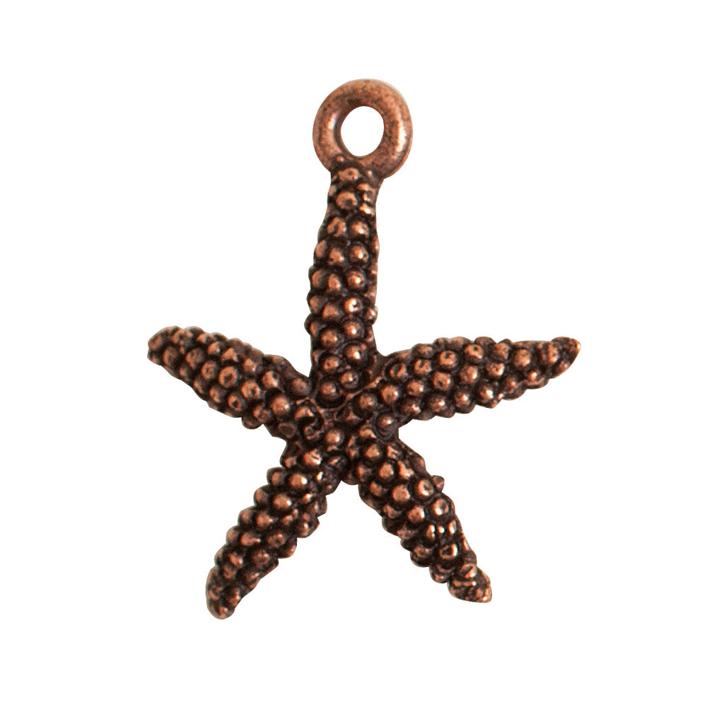 NDCSSF-CB: Nunn Charm Starfish 20mm Ant CPPR